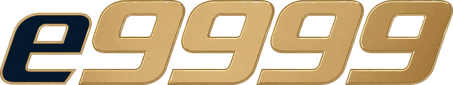 e9999 লোগো